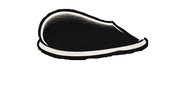 CharacterLeftShoePic